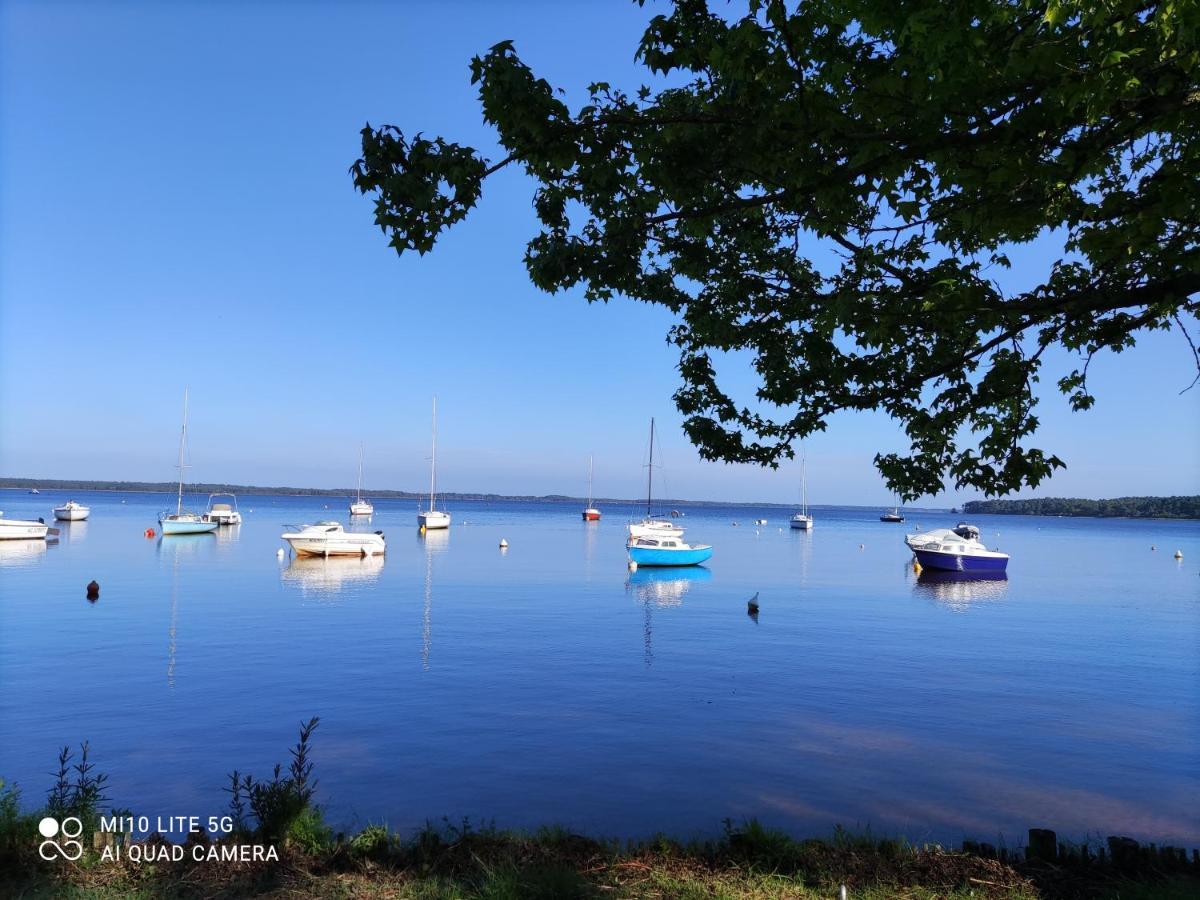 Lodge la tête dans les pins les pieds dans l eau Lacanau Exterior foto